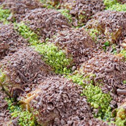 Fındıklı Soğuk Baklava